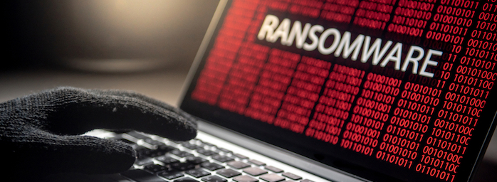 Is Your Business a Victim of Ransomware? What You Need to Know.